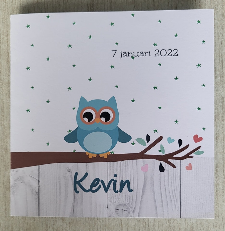Ontvangen geboortekaartjes