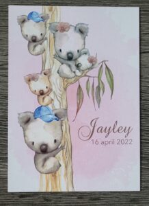Ontvangen geboortekaartjes