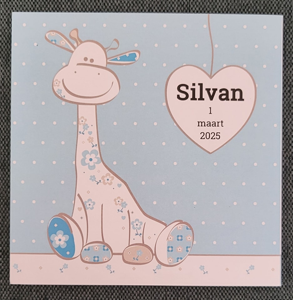 Geboortekaartje van Silvan