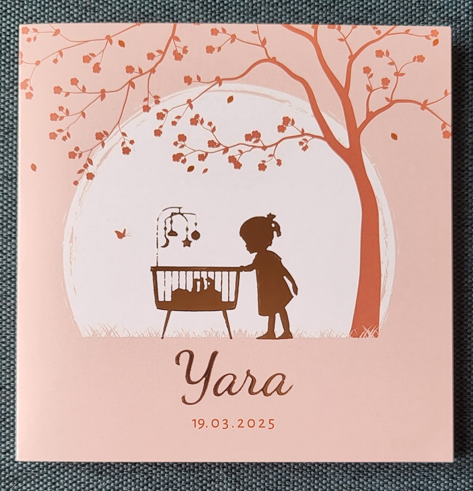 11 ontvangen geboortekaartjes