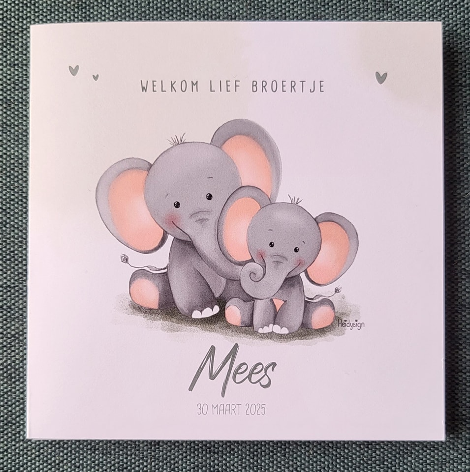 11 ontvangen geboortekaartjes
