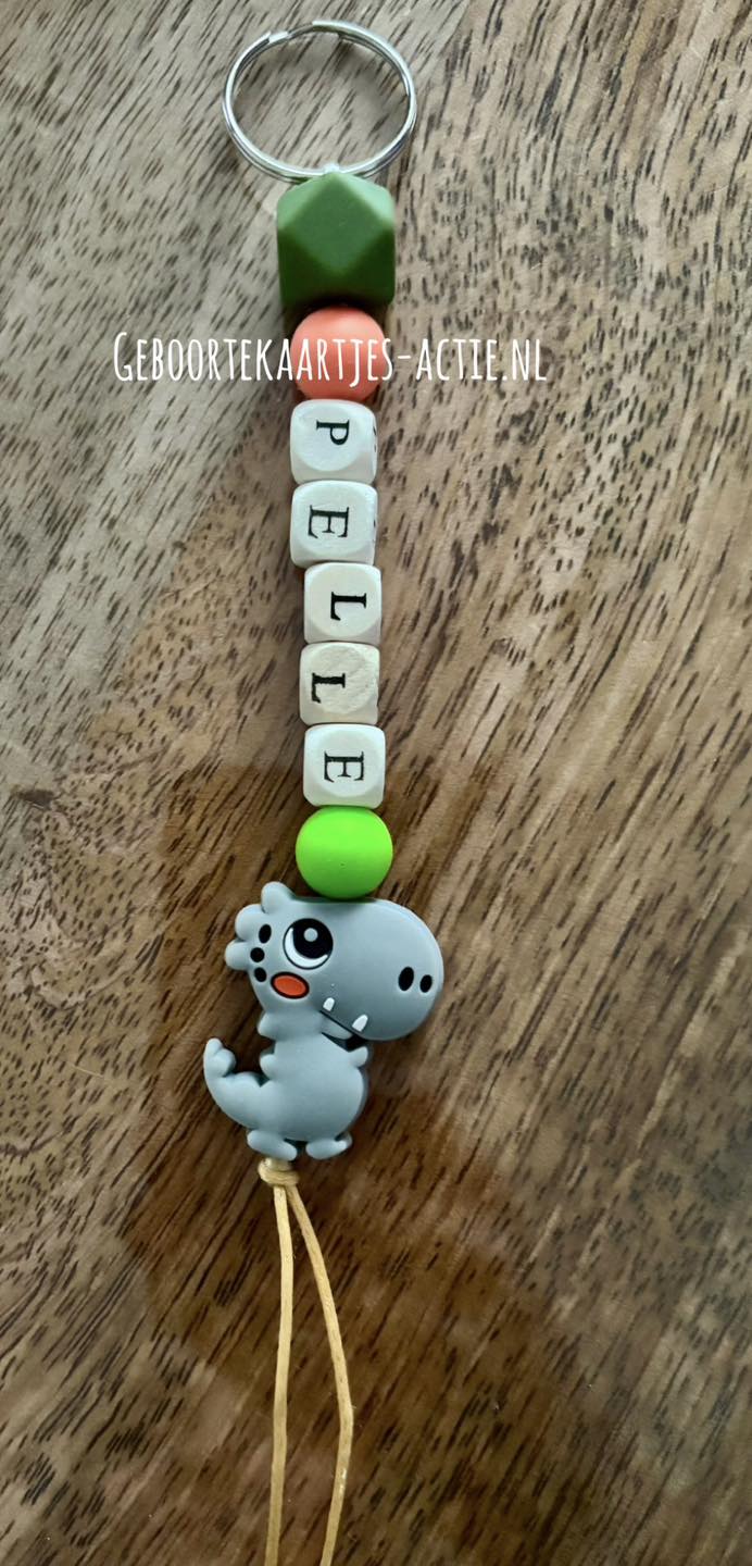 10 naamsleutelhangers