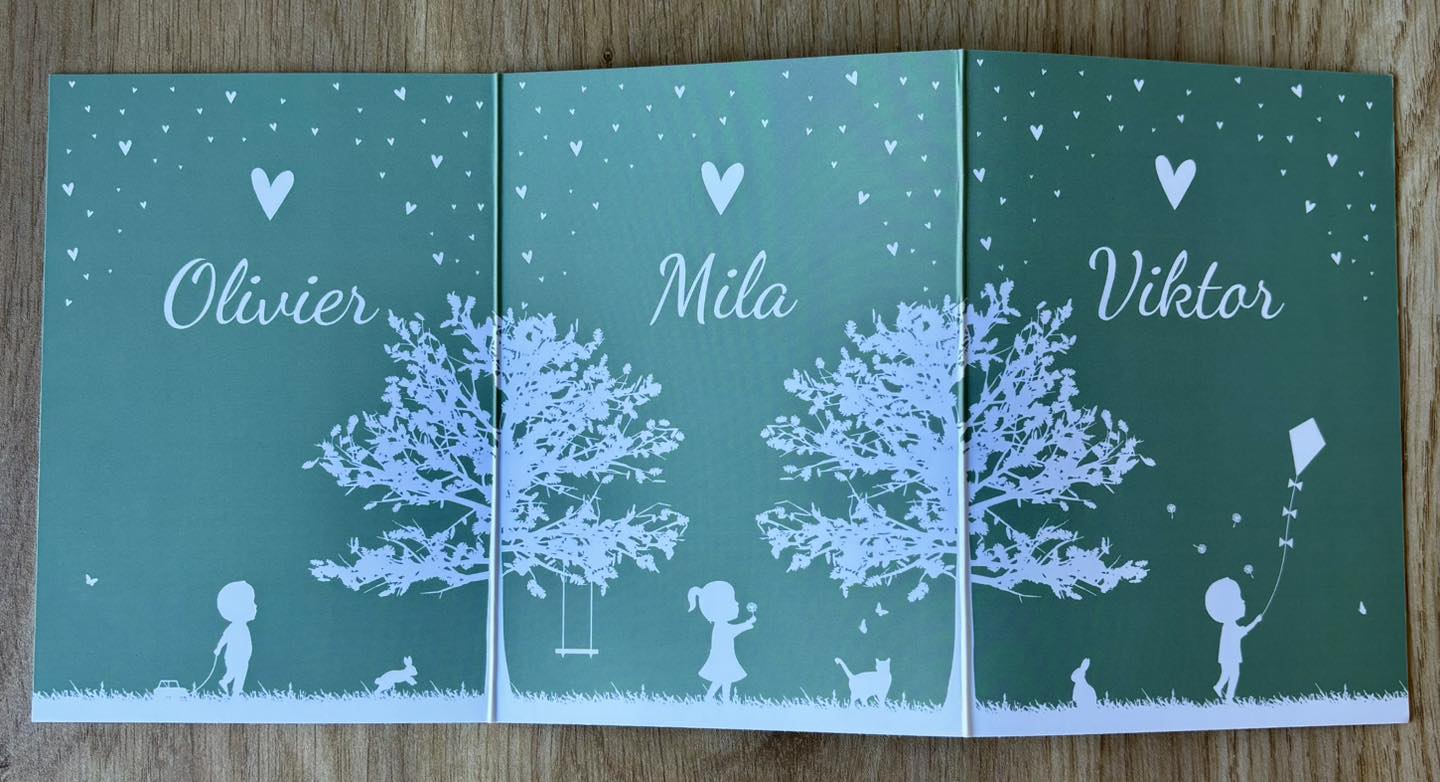 Ontvangen geboortekaartjes 17/1 - 13/2/26