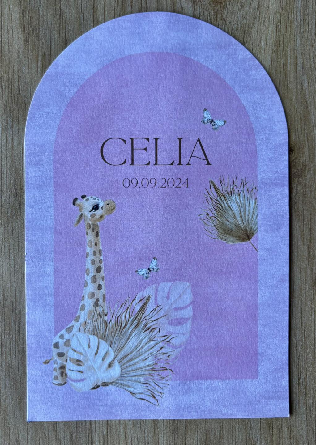 Ontvangen geboortekaartjes 17/1 - 13/2/26