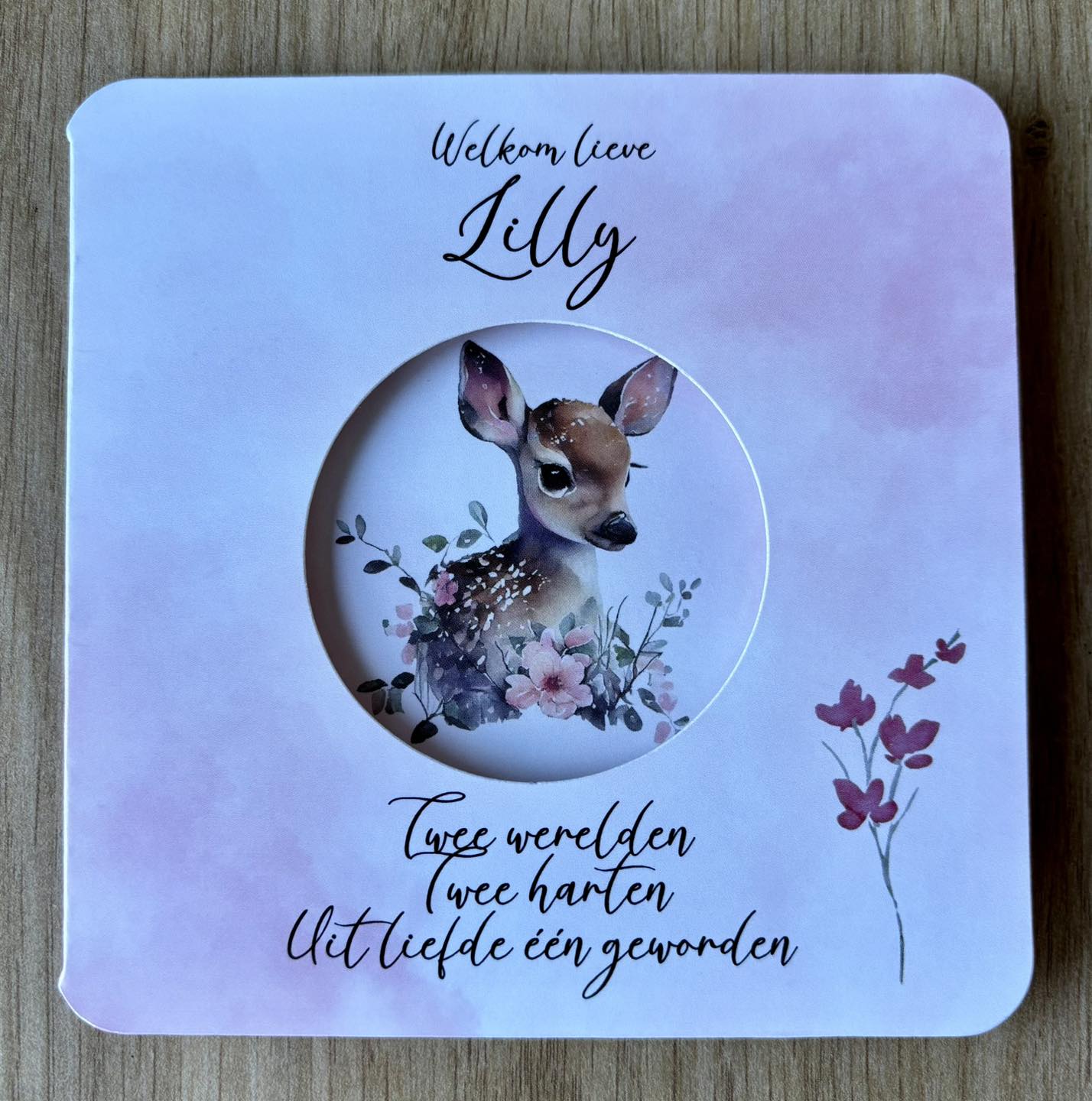 Ontvangen geboortekaartjes 17/1 - 13/2/26