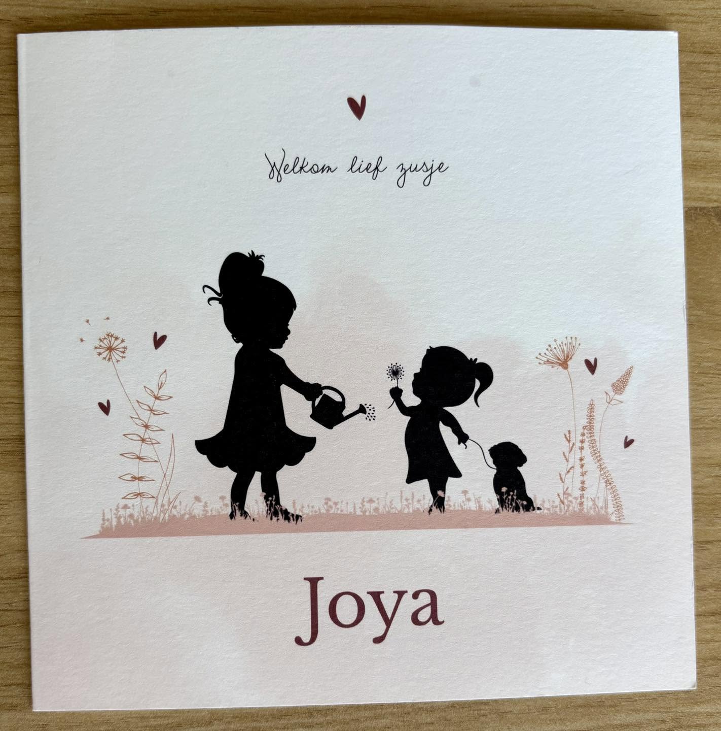 24 prachtige geboortekaartjes