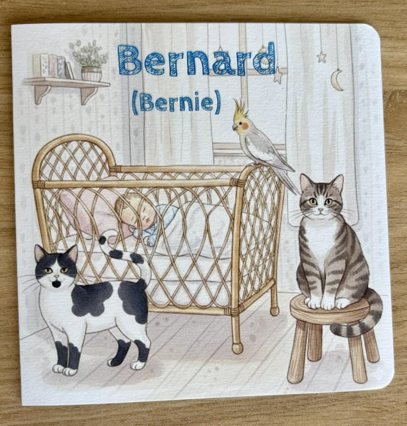 24 prachtige geboortekaartjes
