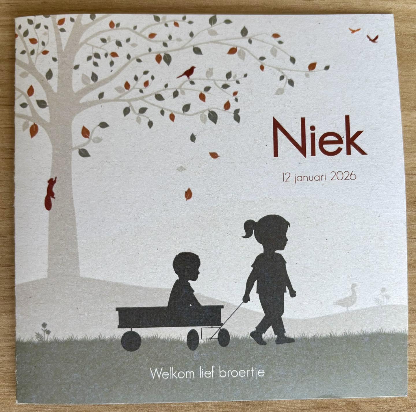 24 prachtige geboortekaartjes