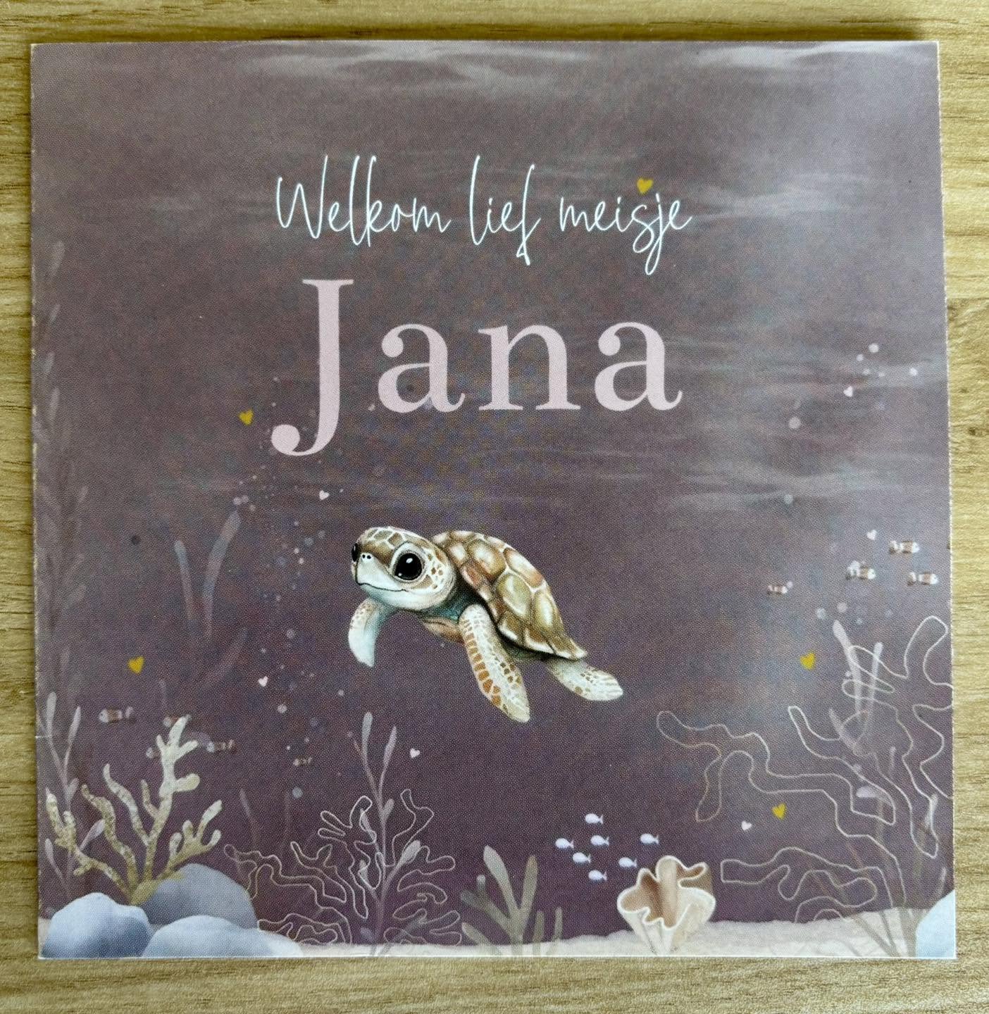 24 prachtige geboortekaartjes