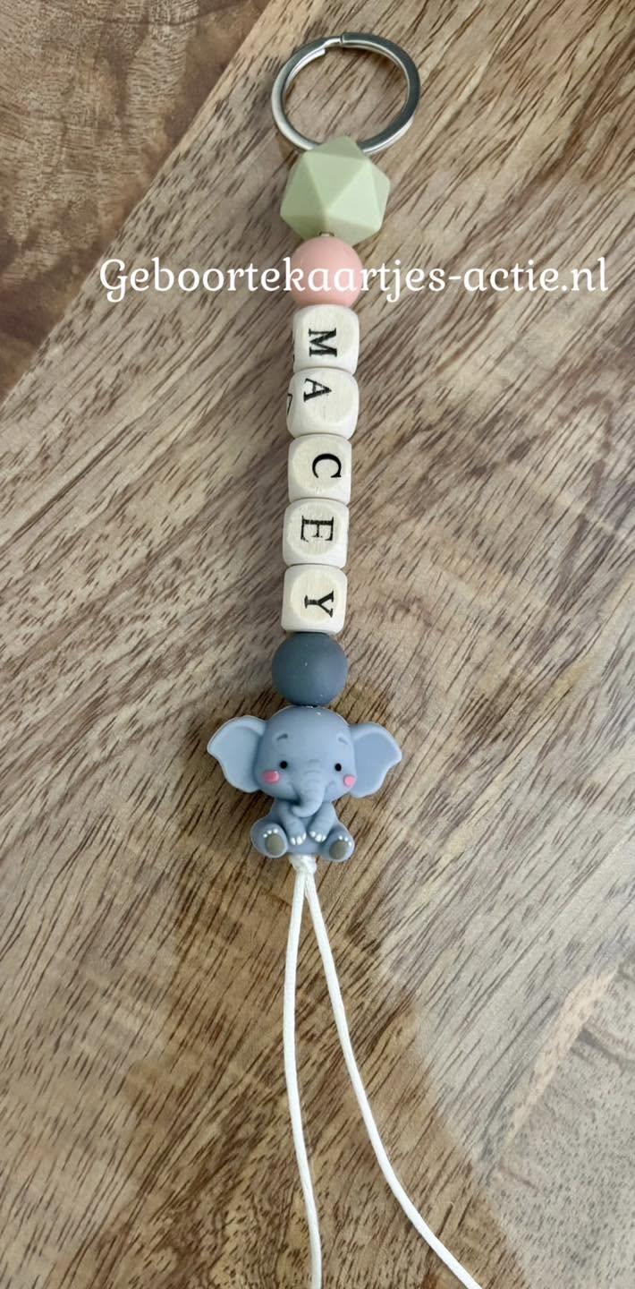 Gewonnen naamsleutelhangers